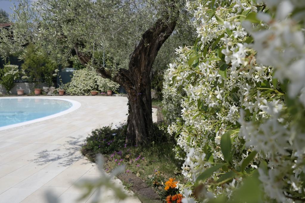 Campeggio Delle Rose Moniga del Garda Dış mekan fotoğraf